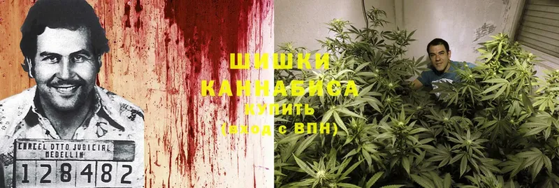 Бошки марихуана LSD WEED  Костомукша 